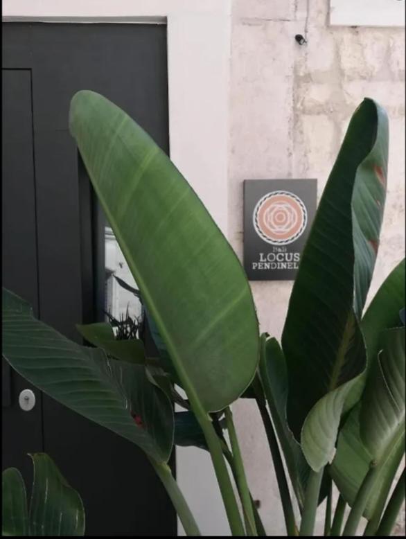 Locus Pendinelli Trani Bed & Breakfast Luaran gambar